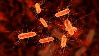 Wisconsin sees 'significant increase' in E. coli cases: state health officials