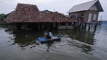 Over 11,000 scientists warn of ‘climate emergency’