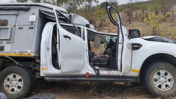 Swiss tourist dies after vehicle crushed by giraffe in South Africa accident