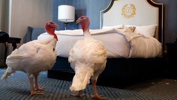 Trump to pardon turkeys Bread and Butter ahead of Thanksgiving