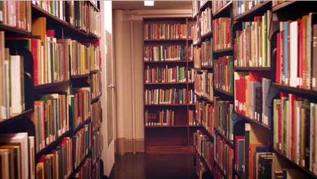 Alabama city bemoans ‘rogue’ library and 'woke' city council over sexually explicit books on library shelves