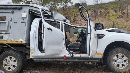 Swiss tourist dies after vehicle crushed by giraffe in South Africa accident