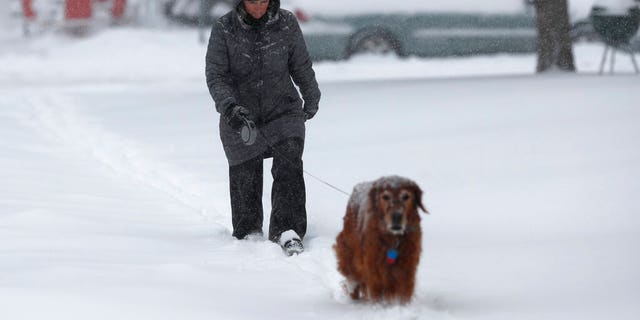 Pam Semmler walks her 10-year-old Golden retriever named Summit as a storm packing snow and high winds sweeps in over the region Tuesday, Nov. 26, 2019, in Denver.