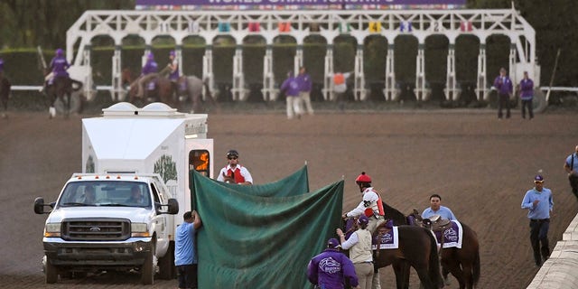 Track workers treat Mongolian Groom after the Breeders' Cup Classic horse race at Santa Anita Park, Saturday, Nov. 2, 2019, in Arcadia, Calif. (Associated Press)