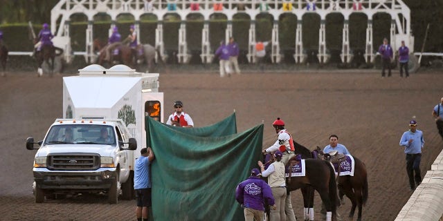 Track workers treat Mongolian Groom after the Breeders' Cup Classic horse race at Santa Anita Park, Saturday, Nov. 2, 2019, in Arcadia, Calif. (Associated Press)
