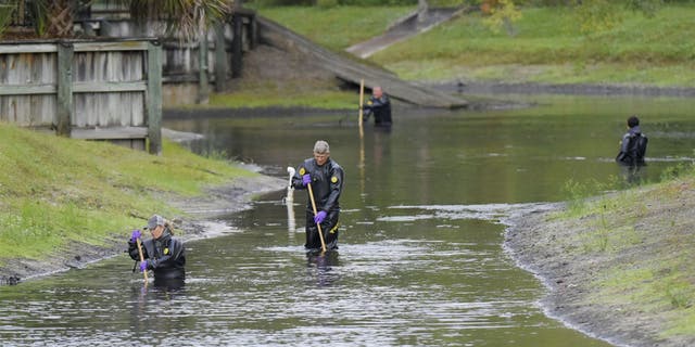 Law enforcement investigators search the small retention pond near the entrance of the Southside Villas apartment complex in Jacksonville on Nov. 6 for Taylor Williams.