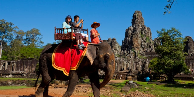 Two of the elephants have already been taken to their new home, the rest will be gradually transported through the end of the year.