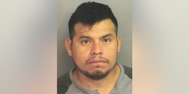Pennsylvania authorities said Nemias Perez Severiano, 31, was living in the U.S. illegally when he struck and killed a Marine Vietnam veteran with his vehicle earlier this month.