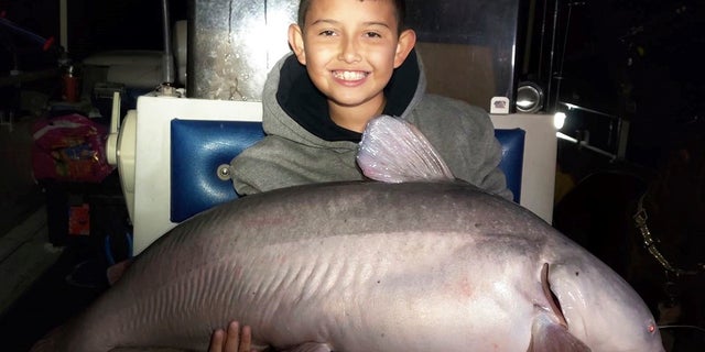 In this photo taken Nov. 10, Alex Flores, 9, holds a 42-pound blue catfish. (Kris Flores via AP)