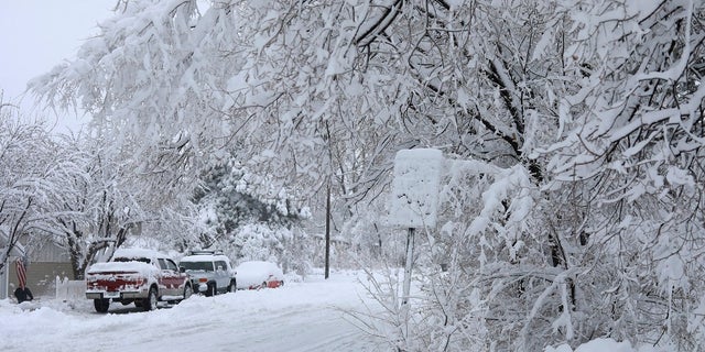 Street signs are covered in snow in north Flagstaff, Ariz., on Friday. A powerful storm making its way east from California is threatening major disruptions during the year's busiest travel weekend, as forecasters warned that intensifying snow and ice could thwart millions across the country hoping to get home after Thanksgiving. (Cody Bashore/Arizona Daily Sun via AP)