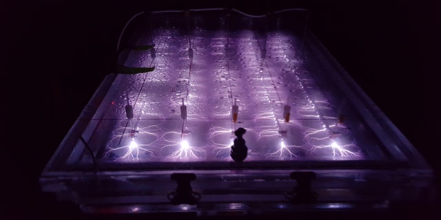The plasma reactor demonstrated at Wright-Patterson Air Force Base, Ohio,