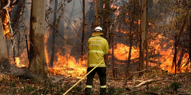 A National Parks and Wildlife crew member fights flames at Half Chain road at Koorainghat, near Taree in New South Wales state Tuesday, Nov. 12, 2019. Hundreds of schools remained closed across Australia's most populous state on Tuesday, Nov. 12, and residents were urged to evacuate woodlands for the relative safety of city centers as authorities braced for extreme fire danger. (Darren Pateman/AAP Images via AP)