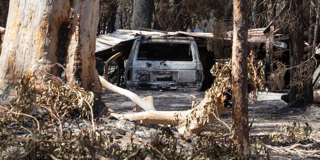 Damage caused by bushfire is seen at resident Brian Williams' resort at Lake Cooroibah Road in Noosa Shire, Queensland, Australia, Monday, Nov. 11, 2019.