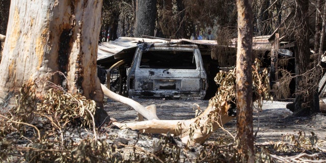 Damage caused by bushfire is seen at resident Brian Williams' resort at Lake Cooroibah Road in Noosa Shire, Queensland, Australia, Monday, Nov. 11, 2019.