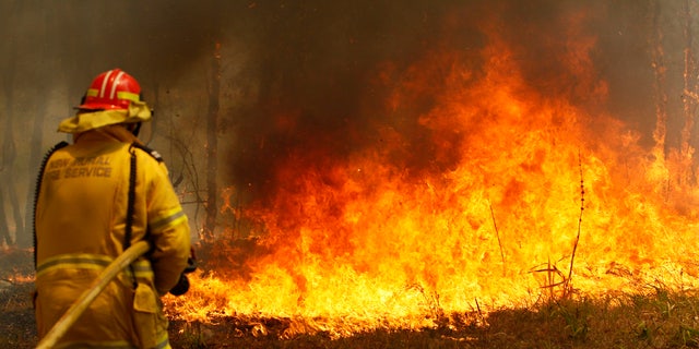 Firefighters work to contain a bushfire along Old Bar road in Old Bar, Saturday, Nov. 9, 2019.