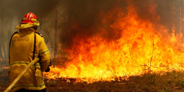 Firefighters work to contain a bushfire along Old Bar road in Old Bar, Saturday, Nov. 9, 2019.