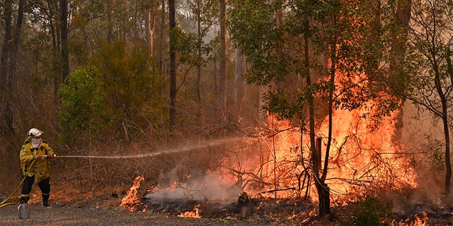 Firefighters tackle a bushfire to save a home in Taree, 350km north of Sydney on November 9, 2019 as they try to contain dozens of out-of-control blazes that are raging in the state of New South Wales. - At least two people have died and 100 homes have been destroyed as an unprecedented number of bushfires tore through eastern Australia. (Photo by PETER PARKS / AFP) (Photo by PETER PARKS/AFP via Getty Images)