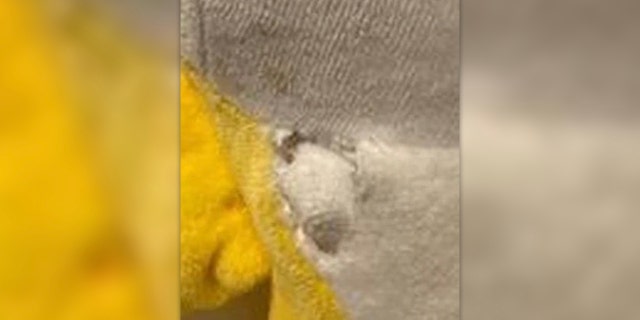 A close-up of the bullet hole in the "Baby Shark" toy that police say saved the life of a toddler. (Madison Police Department)