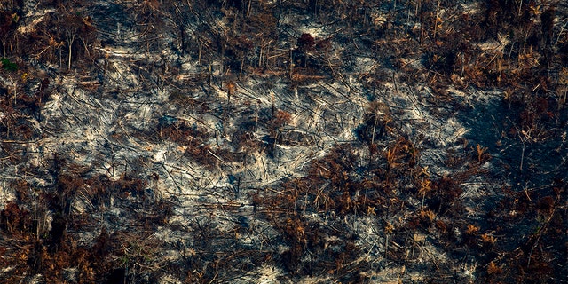 Aerial view of deforestation in Nascentes da Serra do Cachimbo Biological Reserve in Altamira, Para state.