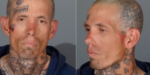 Brian Edward Hardy faces charges of carjacking, kidnapping, assault with a deadly weapon and evading police, authorities say.