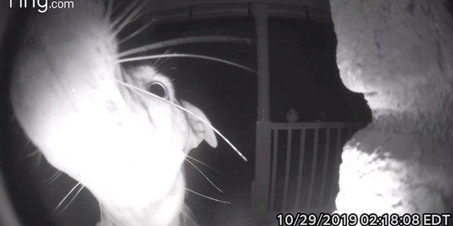 When Robert Fox was locking up his home in McDonough, Ga., on Oct. 28, he forgot one important thing, but it wouldn't be until the earlier hours that he would be reminded of it. (Credit: Caters News Agency)