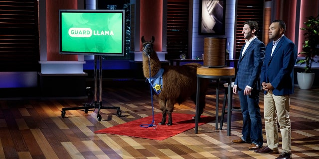 Joseph Parisi and partner Nick Nevarez present "Guard Llama" to "Shark Tank" hosts.