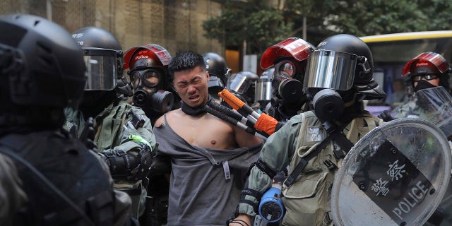 Hong Kong leader Carrie Lam described pro-democracy protesters as "rioters" on Monday. 