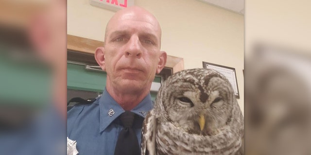Westlake Legal Group Marine-State-Trooper-Owl-2 Maine owl gets lift in state trooper's patrol car after rescue Robert Gearty fox-news/us/us-regions/northeast/maine fox-news/us/crime/police-and-law-enforcement fox-news/science/wild-nature/birds fox-news/odd-news fox-news/good-news fox news fnc/us fnc article 9a812e56-b201-502f-a0c2-ec3c03a84c67