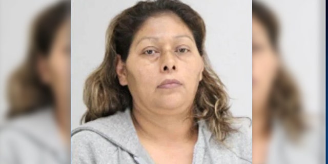 Martha Yescas-Lira, 44, was arrested and charged with attack by dog causing serious bodily injury after her three pitbulls escaped and mauled a 76-year-old woman on Friday.