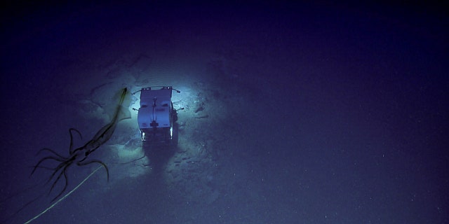 (Credit: National Oceanic and Atmospheric Administration)