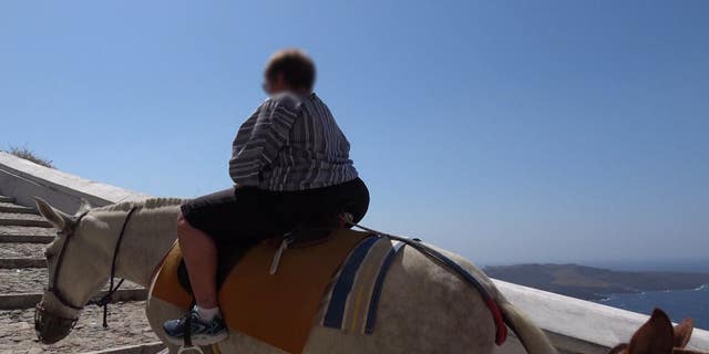 PETA said that about 100 donkeys and mules are still suffering everyday as the trek up and down the “slippery,” 500-step staircase carrying tourists, some over the 220-pound weight limit, multiple times a day.