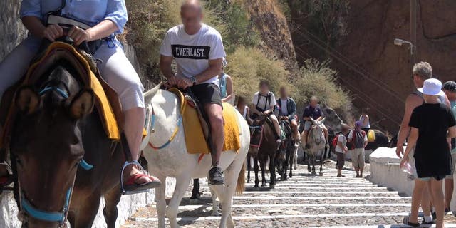 Greek donkeys are still being abused as 'tourist taxis,' PETA claims | Fox News Greek donkeys are still being abused as 'tourist taxis,' PETA claims | Fox News