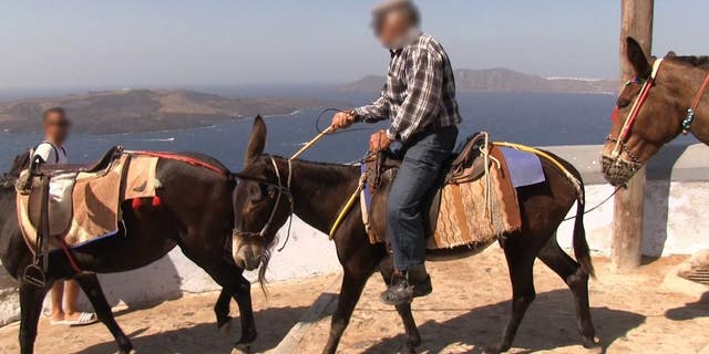 “Santorini holds itself apart from Greece and Greek law — it’s a totally uncivilized place where men openly whip and beat donkeys and mules, making them perform backbreaking work, day in and day out,” PETA President Ingrid Newkirk said in a statement.