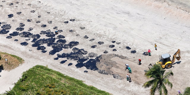 Crews clean up part of the oil spill that reached Peroba beach in northeastern Brazil. (Reuters)