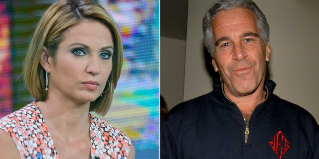 ABC News anchor Amy Robach admitted on hot mic footage published by the controversial Project Veritas that she had the Jeffrey Epstein story three years ago.