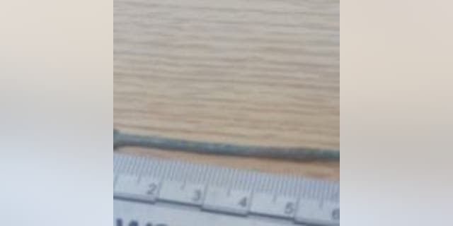 The metal Roman ear cleaner. (Ebbsfleet Development Corporation)