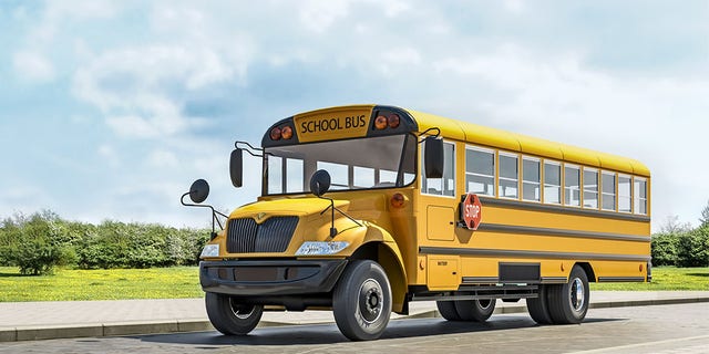 A primary school in Australia has apologized after a boy was left locked in the luggage compartment of a school bus. (Photo: iStock)