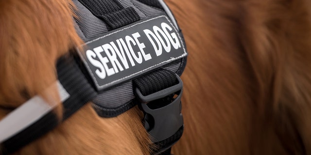 can-restaurants-deny-service-dogs