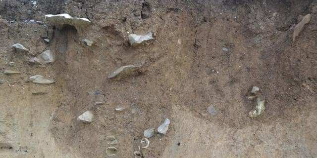 The bones are thought to belong to shipwreck victims. (Cardiff University)