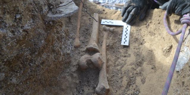 The skeletons were found at Cwm Nash on the Welsh coast. (Cardiff University)