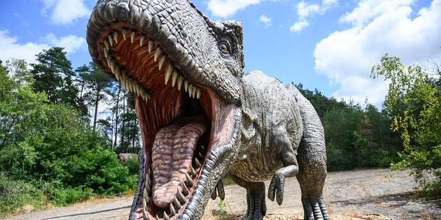 A model of the predatory dino. (Photo by Christophe Gateau/picture alliance via Getty Images)