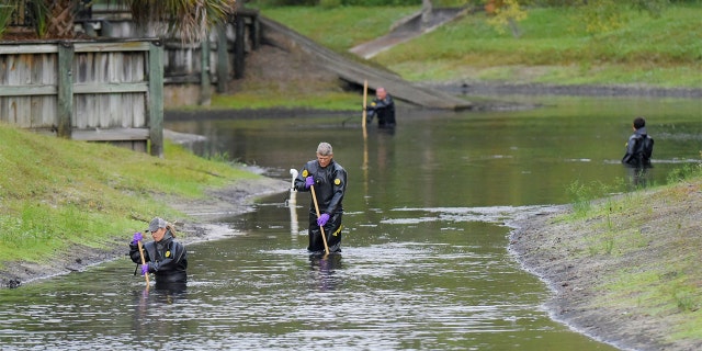 Law enforcement investigators in dry suits search the small retention pond near the entrance of the Southside Villas apartment complex off Southside Blvd. in Jacksonville, Florida Wednesday afternoon, November 6, 2019. 