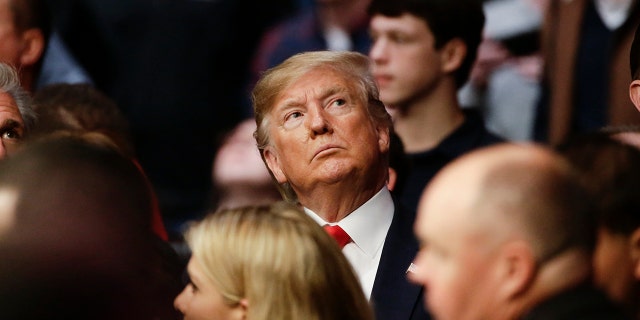 President Donald Trump watches a replay of a lightweight mixed martial arts bout between Kevin Lee and Gregor Gillespie at UFC 244, Saturday, Nov. 2, 2019, in New York. Lee stopped Gillespie in the first round. (AP Photo/Frank Franklin II)