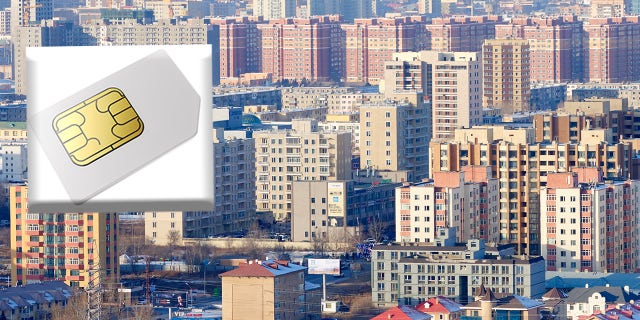 Police in Mongolia arrested roughly 800 Chinese citizens during an anti-money laundering operation in the capital of Ulaanbaatar, local authorities said on Thursday.
