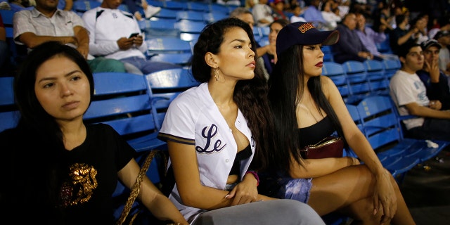 Fans of the Leones de Caracas team watch the opening winter season game between their team and Tigres de Aragua in Caracas, Venezuela, Tuesday, Nov. 5, 2019. The luxury of a night of fun for a couple buying tickets, beer and hotdogs easily cost double the monthly minimum wage equal to the $15 that most Venezuelans earn. (AP Photo/Ariana Cubillos)