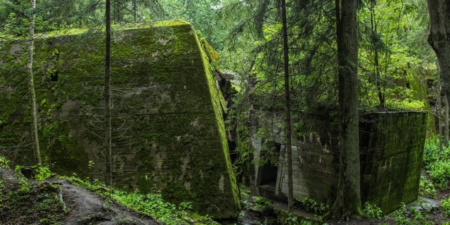 The Wolfs Lair ruins - file photo.