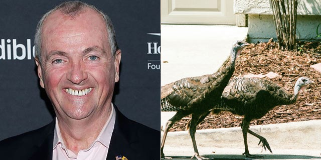 Gov. Phil Murphy of New Jersey is taking heat from MLB star Todd Frazier over a wild turkey problem that has been plaguing Frazier's hometown of Toms River.