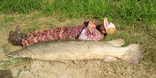 Chris Hernandez was fishing on a river on the outskirts of San Benito in his kayak when he hooked the monster.