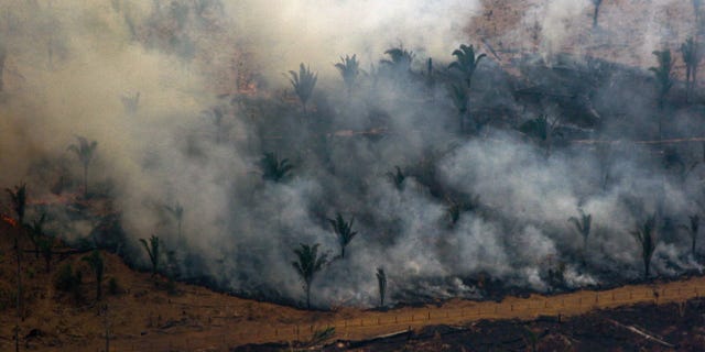 Aerial view showing smoke billowing from a patch of forest being cleared with fire in the surroundings of Boca do Acre, a city in Amazonas State, in the Amazon basin in northwestern Brazil, on Aug. 24. (LULA SAMPAIO/AFP via Getty Images)
