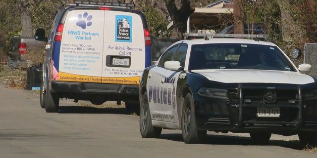 The attack happened Friday morning in Dallas, and left a woman critically injured.